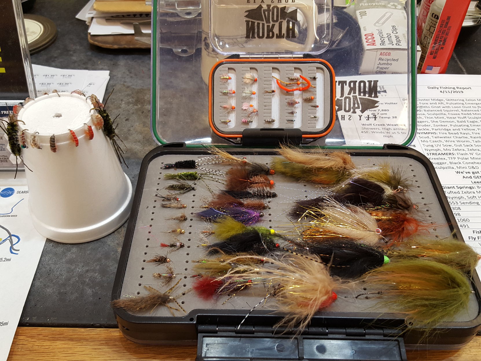 Art of the fly